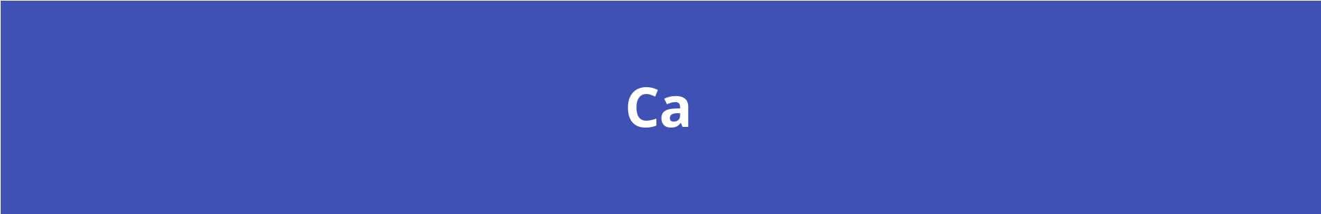 Casepoint banner