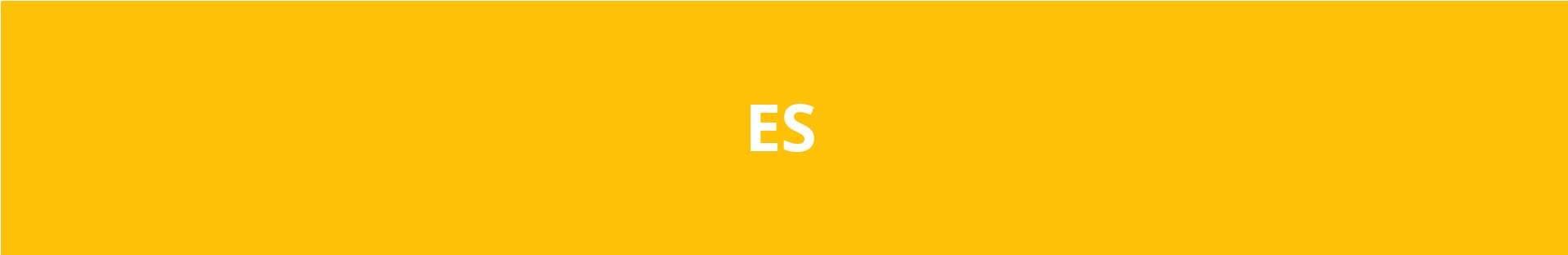E Solutions banner