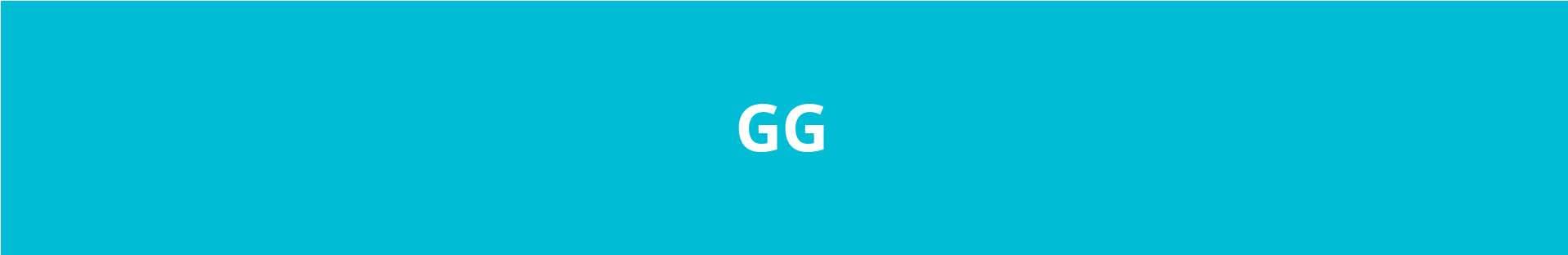 GIM Goa banner