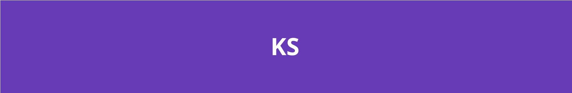 KritiKal Solutions banner