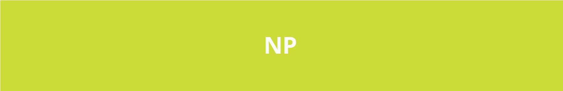 Narayan Powertech banner