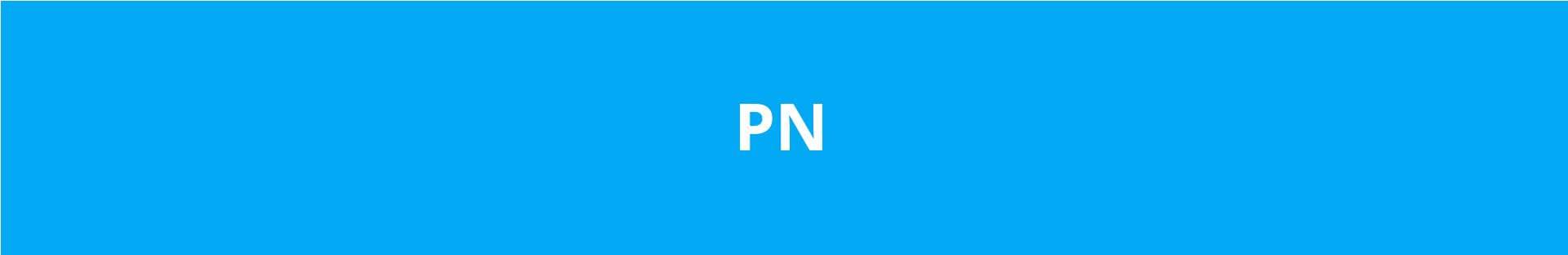Paladion Networks banner