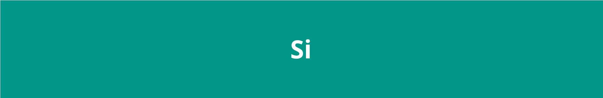 Siegwerk banner