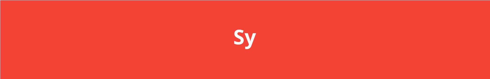 Syncortex banner