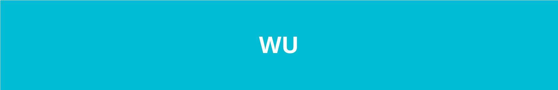 Western Union banner