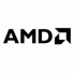 Advanced Micro Devices (AMD)